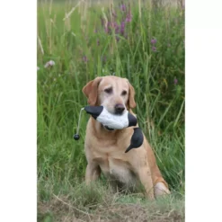 Apportable Morillon Pour Chien De Chasse