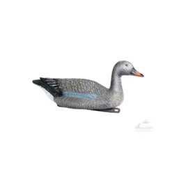 Blette D'oie Cendrée Flottante