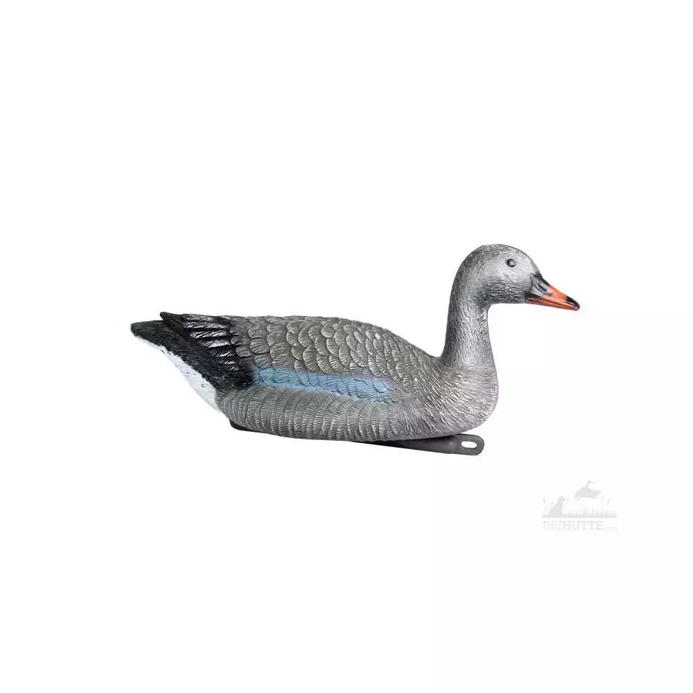 Blette D'oie Cendrée Flottante 3 Blette D'oie Cendrée Flottante