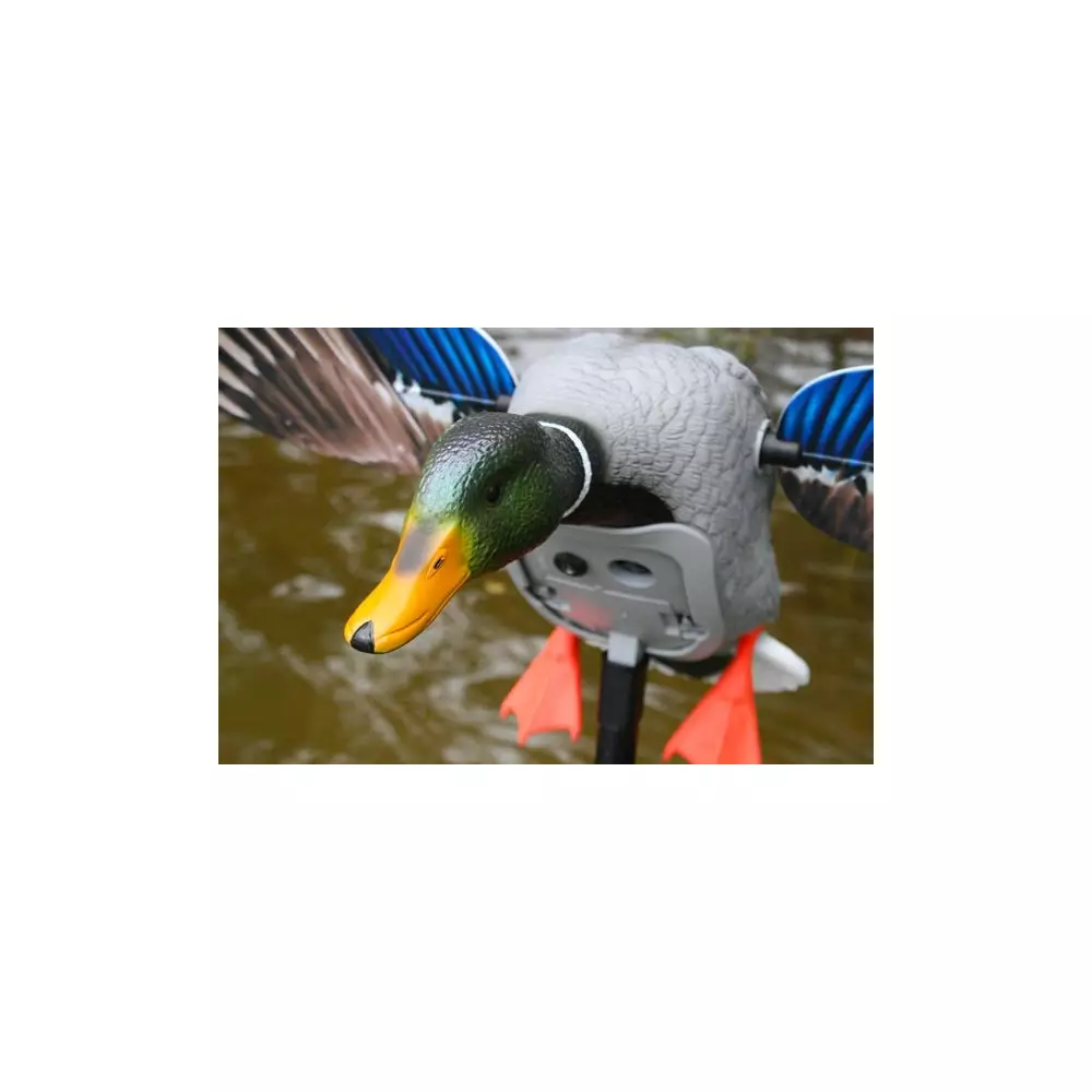 Canard à Ailes Tournantes Mojo King Mallard 6 Canard à Ailes Tournantes Mojo King Mallard – Image 4