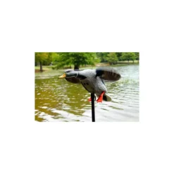 Canard à Ailes Tournantes Mojo King Mallard 12 Canard à Ailes Tournantes Mojo King Mallard -Équipement De Chasse canard a ailes tournantes mojo king mallard 3