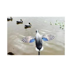 Canard à Ailes Tournantes Mojo King Mallard 13 Canard à Ailes Tournantes Mojo King Mallard -Équipement De Chasse canard a ailes tournantes mojo king mallard 4