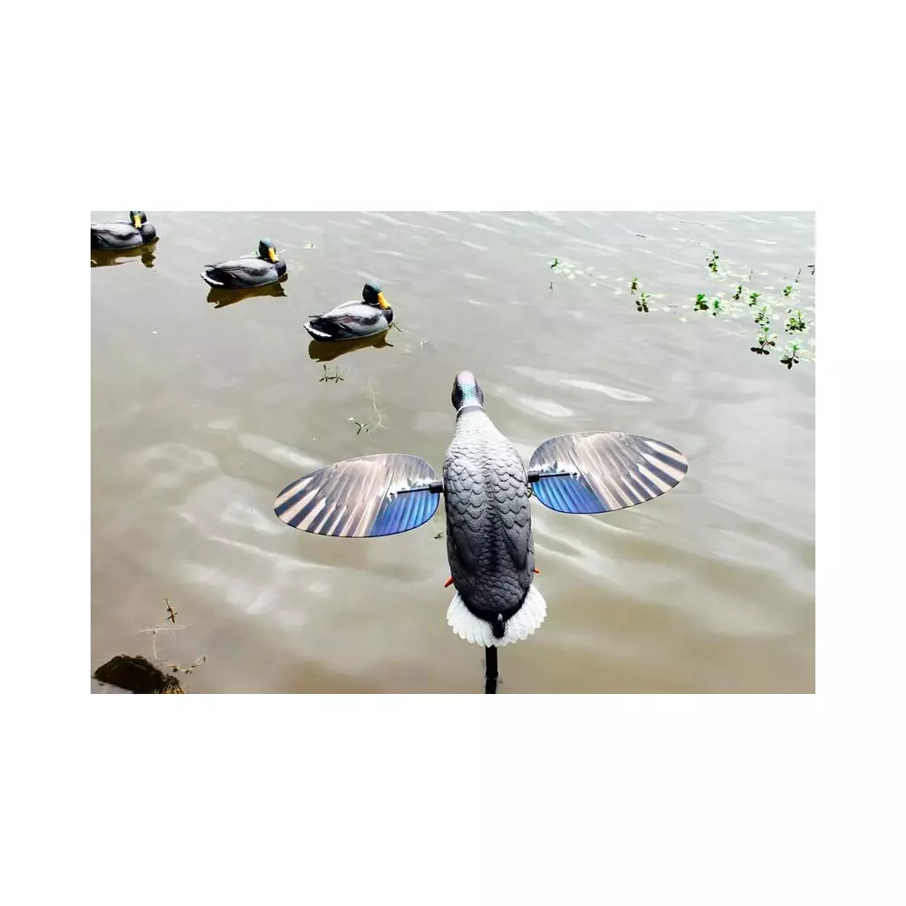 Canard à Ailes Tournantes Mojo King Mallard 8 Canard à Ailes Tournantes Mojo King Mallard – Image 6