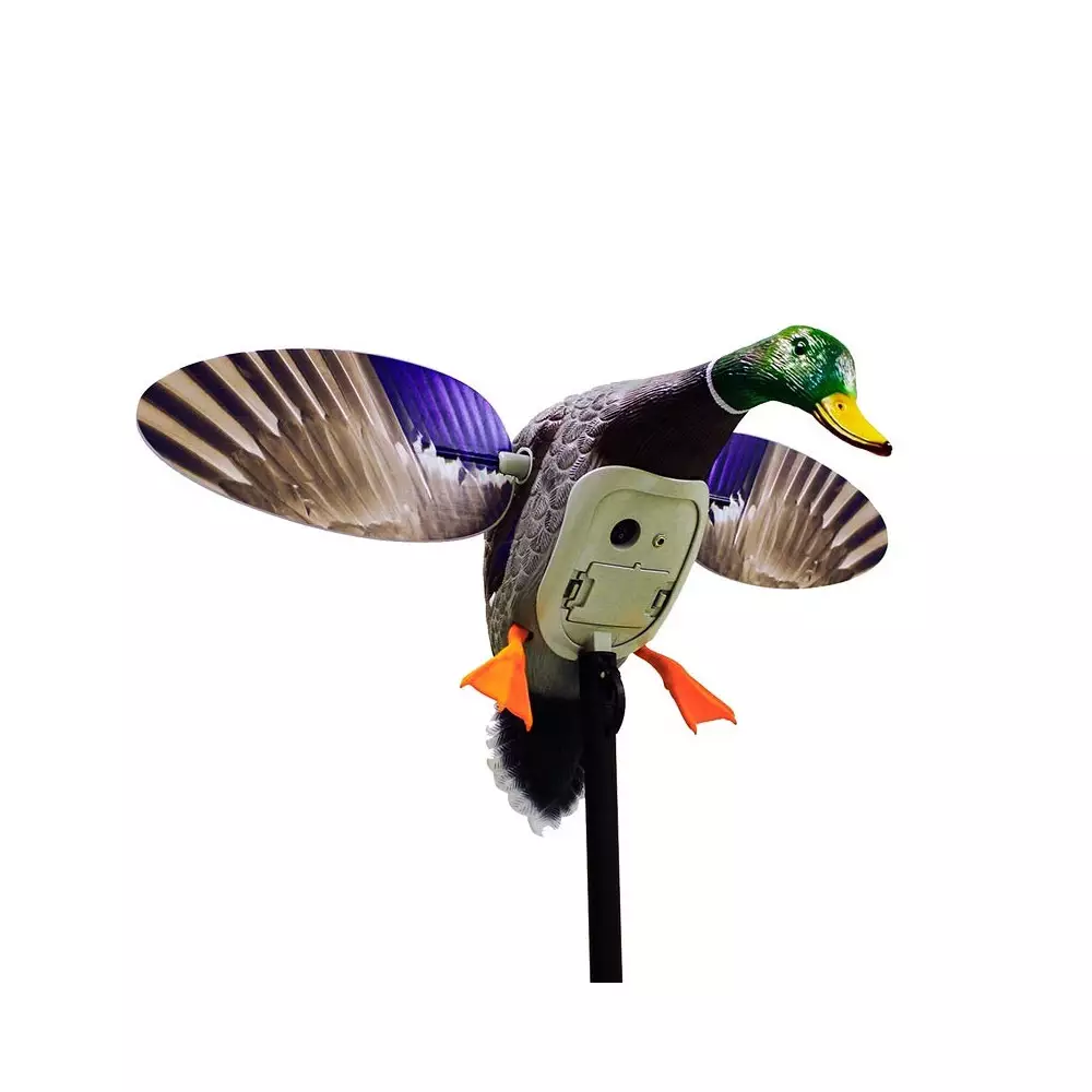 Canard à Ailes Tournantes Mojo King Mallard 3 Canard à Ailes Tournantes Mojo King Mallard