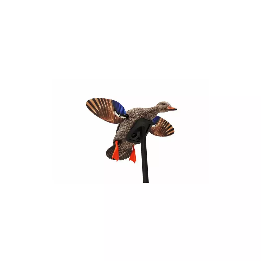 Cane Colvert à Ailes Tournantes Mini Mallard Elite Series Mojo 3 Cane Colvert à Ailes Tournantes Mini Mallard Elite Series Mojo