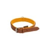 Collier Pour Chien Cuir Country 2 Collier Pour Chien Cuir Country -Équipement De Chasse collier pour chien cuir