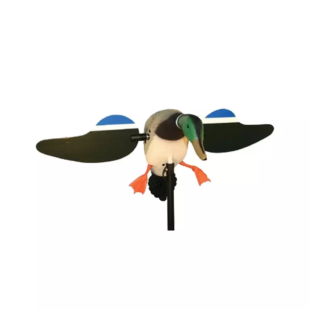 Colvert à Ailes Tournantes Baby MOJO 3 Colvert à Ailes Tournantes Baby MOJO