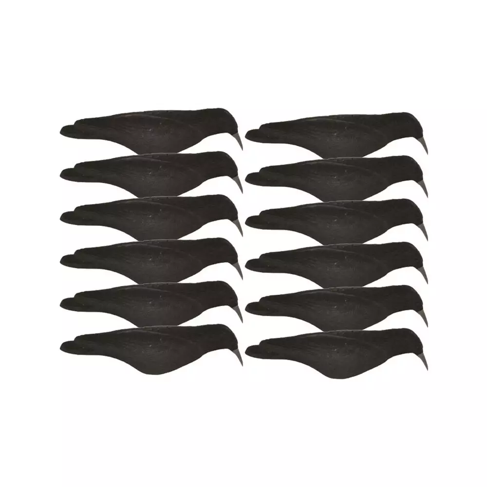 Coquille De Corbeau Floquée X12 3 Coquille De Corbeau Floquée X12