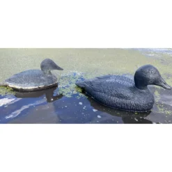 Forme D'eider Noire Magnum -Équipement De Chasse forme d eider noire magnum 2