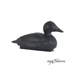Forme D'eider Noire Magnum