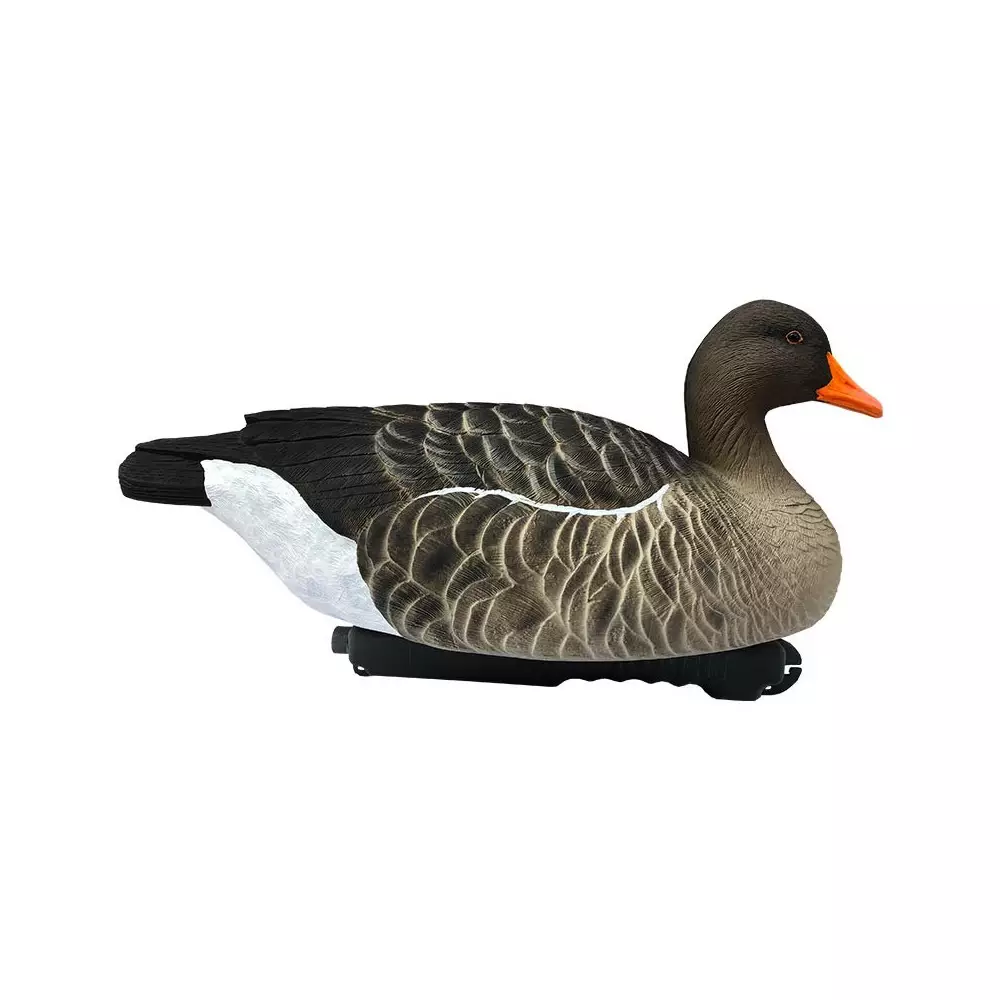Forme D'oie Cendrée Flottante HD X6 4 Forme D'oie Cendrée Flottante HD X6 – Image 2