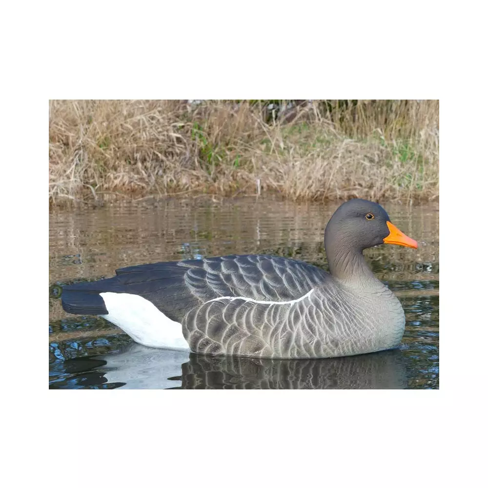 Forme D'oie Cendrée Flottante HD X6 5 Forme D'oie Cendrée Flottante HD X6 – Image 3