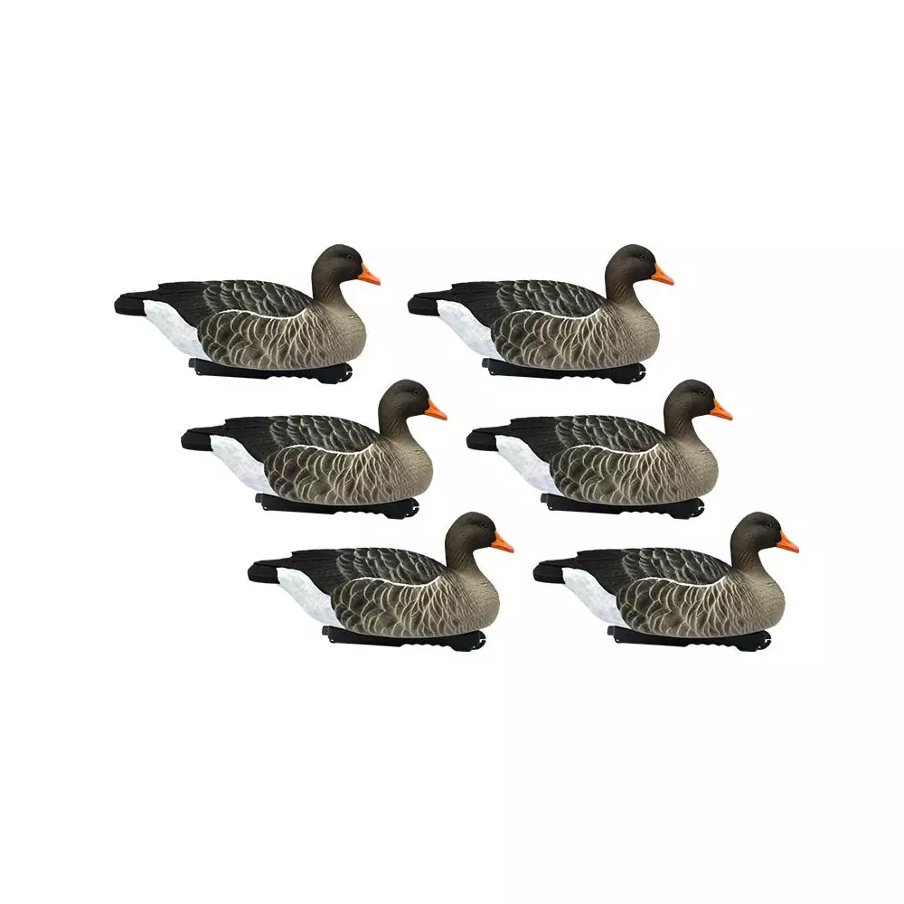 Forme D'oie Cendrée Flottante HD X6 3 Forme D'oie Cendrée Flottante HD X6