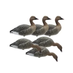 Forme D'oie Des Moissons Sur Pattes Final Approach X6