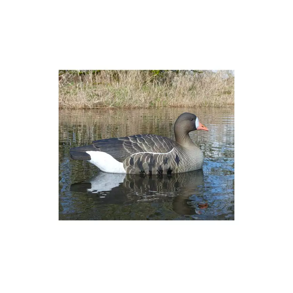 Forme D'oie Rieuse Flottante HD 4 Forme D'oie Rieuse Flottante HD – Image 2