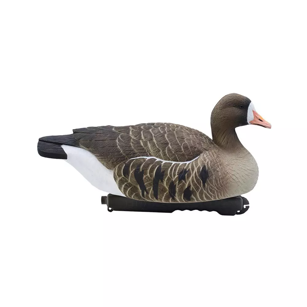 Forme D'oie Rieuse Flottante HD 3 Forme D'oie Rieuse Flottante HD