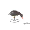 Forme D'oie Rieuse Sur Pattes Mangeuse Duck Hunter -Équipement De Chasse forme d oie rieuse sur pattes mangeuse duck hunter
