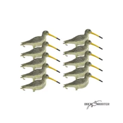 Forme De Bécassine X10