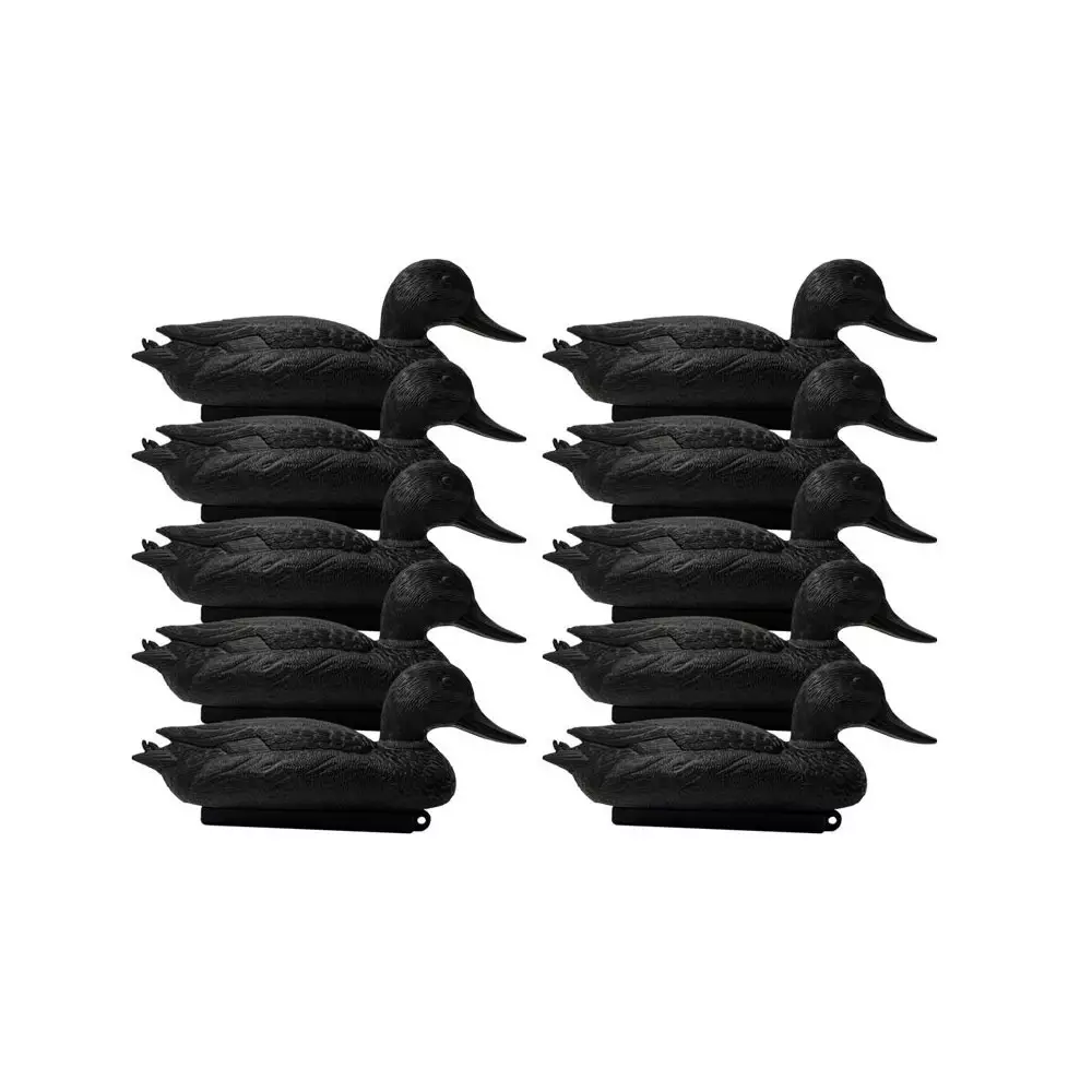 Forme De Canard Noire X10 3 Forme De Canard Noire X10