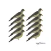 Forme De Grive Litorne X10 -Équipement De Chasse forme de grive litorne x10