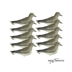 Forme De Pluvier X10