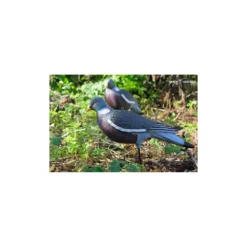 Forme Vision Pigeon HD Active -Équipement De Chasse forme vision pigeon hd active 1