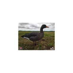 Formes D'oie Cendrée Sur Pattes AvianX X6 -Équipement De Chasse formes d oie cendree sur pattes avianx x6 1