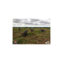 Formes D'oie Cendrée Sur Pattes AvianX X6 -Équipement De Chasse formes d oie cendree sur pattes avianx x6 4