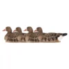 Formes D'oie Rieuse Flottante AvianX X4