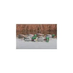 Formes De Colvert AvianX Back Water HD