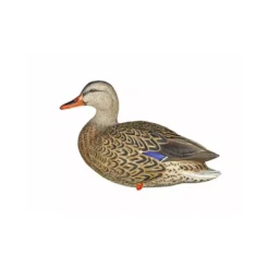 Formes De Colvert Sur Pattes AvianX -Équipement De Chasse formes de colvert sur pattes avianx 2