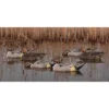 Formes De Pilet AvianX Actifs