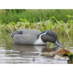 Formes De Pilet AvianX Actifs -Équipement De Chasse formes de pilet avianx actifs 2