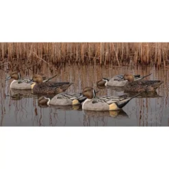 Formes De Pilet AvianX Actifs