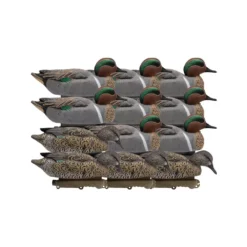 Formes De Sarcelle Final Approach X12