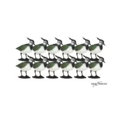 Formes De Vanneau X12