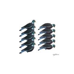 Formes Vision Pigeon HD UV X10 + 2 Offertes -Équipement De Chasse formes vision pigeon hd uv x10 2 offertes 2