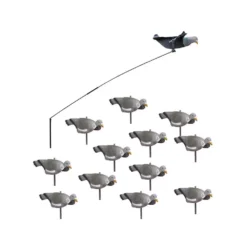 Pack Débutant Du Chasseur De Pigeons