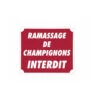 Ramassage De Champignons Interdit -Équipement De Chasse ramassage de champignons interdit