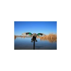 Sarcelle à Ailes Tournantes Mojo Elite Serie Teal -Équipement De Chasse sarcelle a ailes tournantes mojo elite serie teal 1