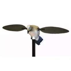 Tourterelle à Ailes Tournantes MOJO