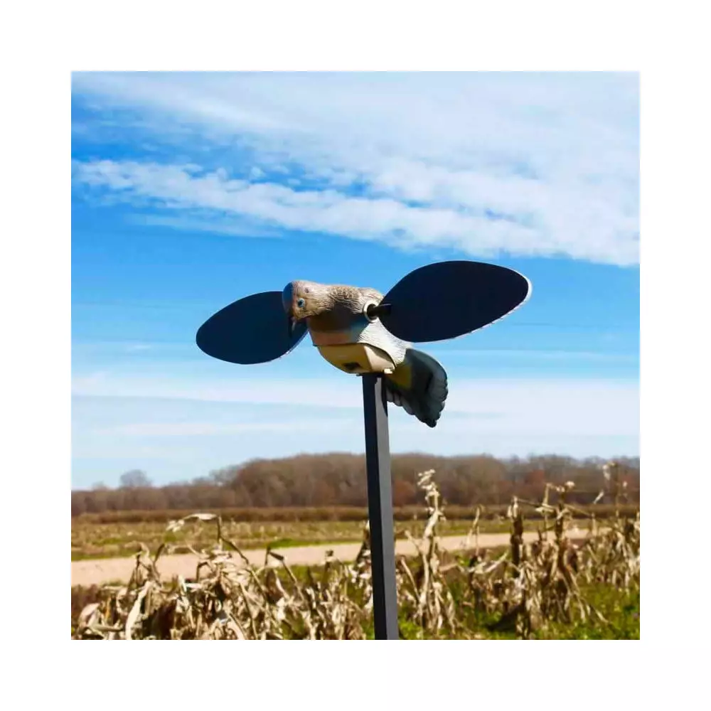 Tourterelle Elite Series Mojo 3 Tourterelle Elite Series Mojo